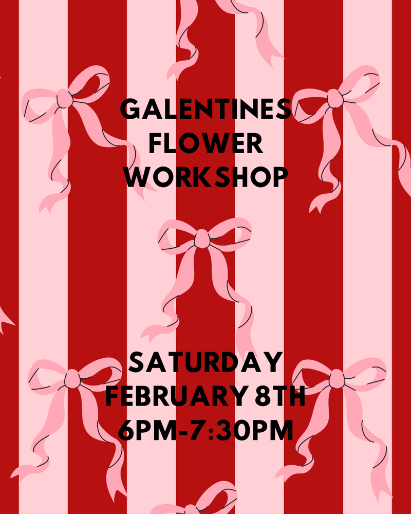 GALENTINES (Saturday) Princess Diaries Slumber Party Flower Class